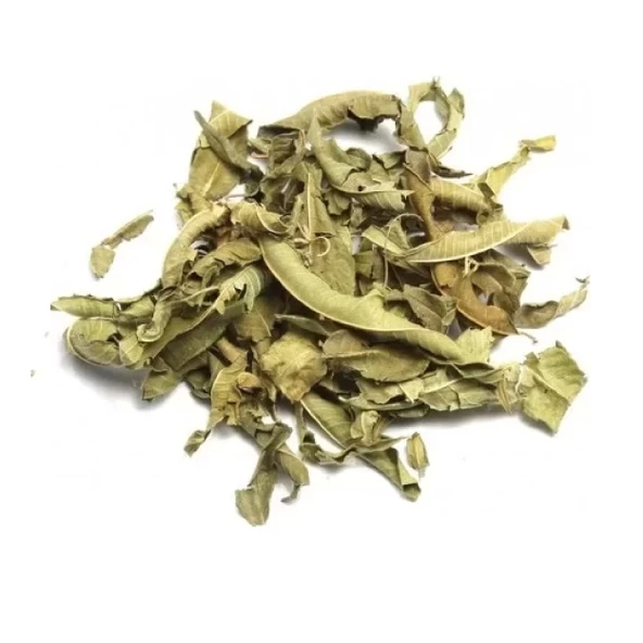 Melisa Limon Kokulu 20 Gr, Derya Eren - 2