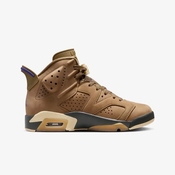 Nike Air Jordan 6 Retro Gore-Tex Brown Kelp