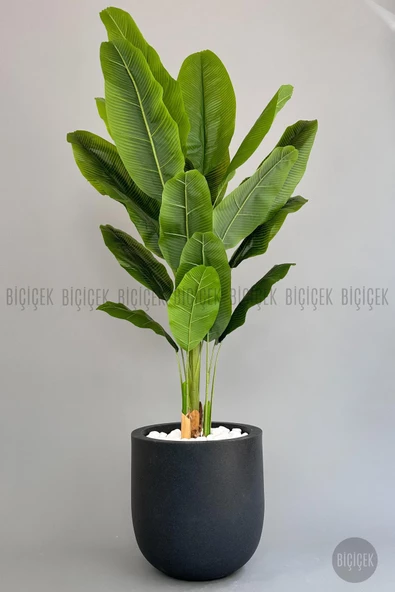 BİÇİÇEK Yapay Muz Ağacı 200 cm lux dış mekan saksıda
