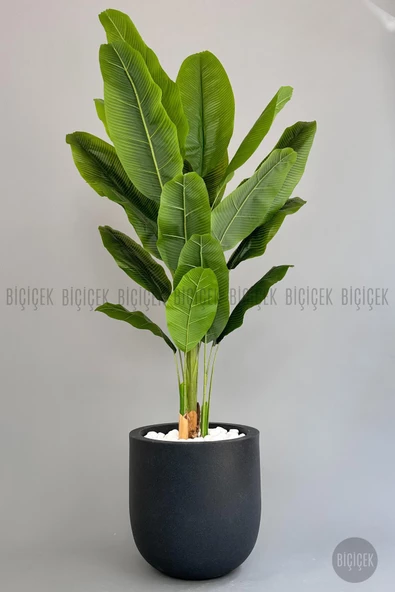BİÇİÇEK Yapay Muz Ağacı 200 cm lux dış mekan saksıda - 3