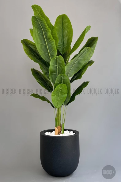 BİÇİÇEK Yapay Muz Ağacı 200 cm lux dış mekan saksıda - 4