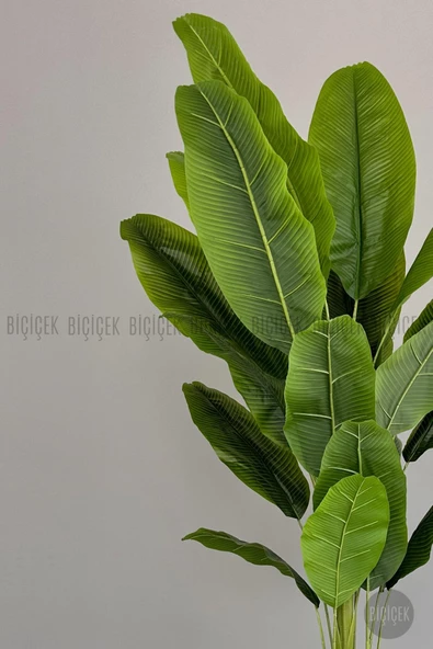 BİÇİÇEK   Yapay Muz Ağacı 200 cm lux dış mekan saksıda - Resim 2