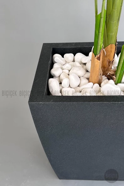 BİÇİÇEK Yapay Muz Ağacı 200 cm lux dış mekan saksıda - 10