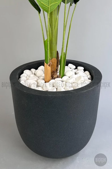 BİÇİÇEK   Yapay Muz Ağacı 200 cm lux dış mekan saksıda - Resim 5