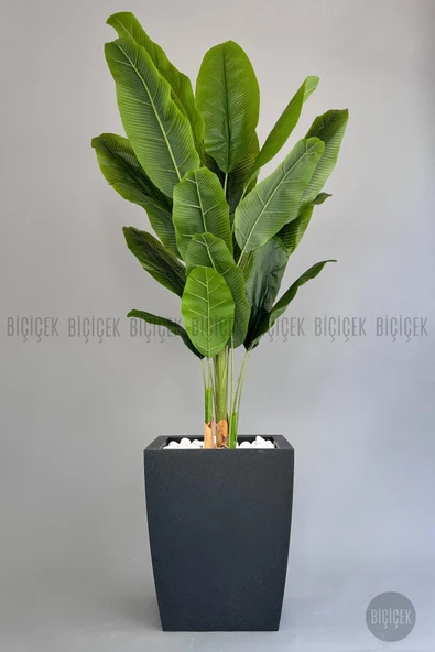 BİÇİÇEK   Yapay Muz Ağacı 200 cm lux dış mekan saksıda - Resim 9
