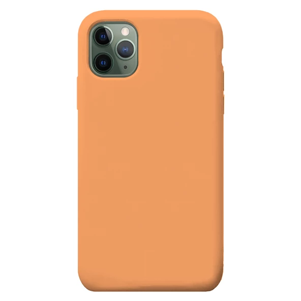 iPhone 12 Pro Max Kılıf Nano Lansman Silikon Arka Kapak - 12