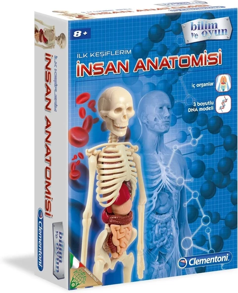 Clementoni 64297 İlk Keşiflerim İnsan Anatomisi