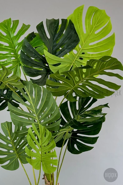 BİÇİÇEK   Yapay Monstera Ağacı 200 cm lux dış mekan saksıda - Resim 12