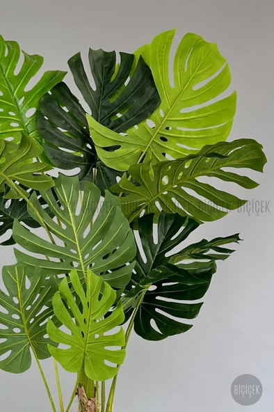 BİÇİÇEK   Yapay Monstera Ağacı 200 cm lux dış mekan saksıda - Resim 4
