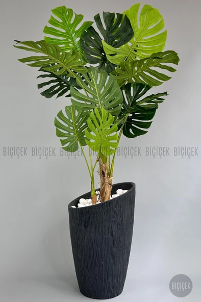BİÇİÇEK   Yapay Monstera Ağacı 200 cm lux dış mekan saksıda - Resim 3