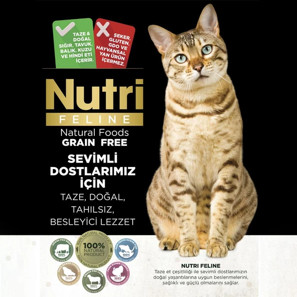 Nutri Feline 2Kg Yetişkin Somon Etli  Adult Urinary Kedi Maması - 5
