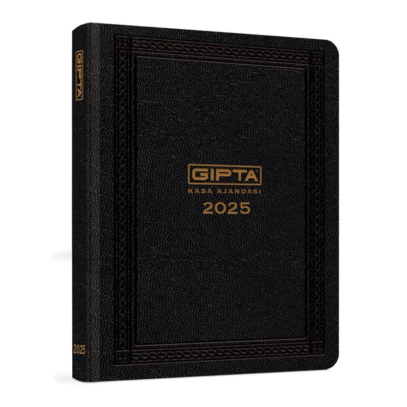 GIPTA 17x24 GUNLUK KASA AJANDASI (111-TCK)2025 ürün görseli