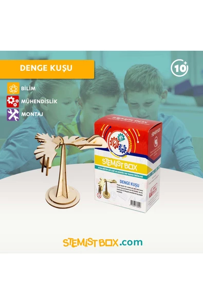 Stemist Box Denge Kuşu - 6