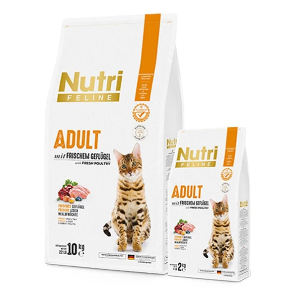 Nutri Feline 10Kg Yetişkin Tavuk Etli Adult Kedi Maması - Resim 2
