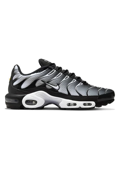 Nike Air Max Plus TN Smoke Grey - 1