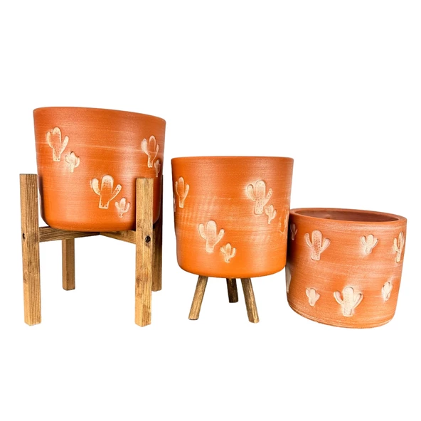 Bitki Tasarımı Kaktüs Desenli Toprak Saksı Saksılık Salon Çiçeklik Üçlü Set - 19 CM - 3