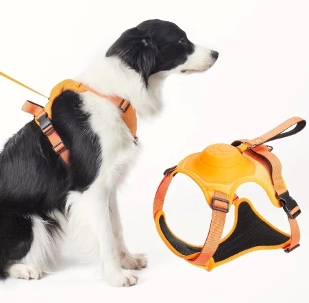 Bauwelt Köpek Tasması Gövdelik Ve Göğüslük Otomatik Toplama Rahat Ve Konforlu Yürüyüş Tasma - 2