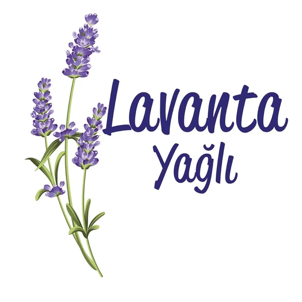 Gece Külotu Lavanta Yağlı 6 Numara Xlarge 60 Adet - 3