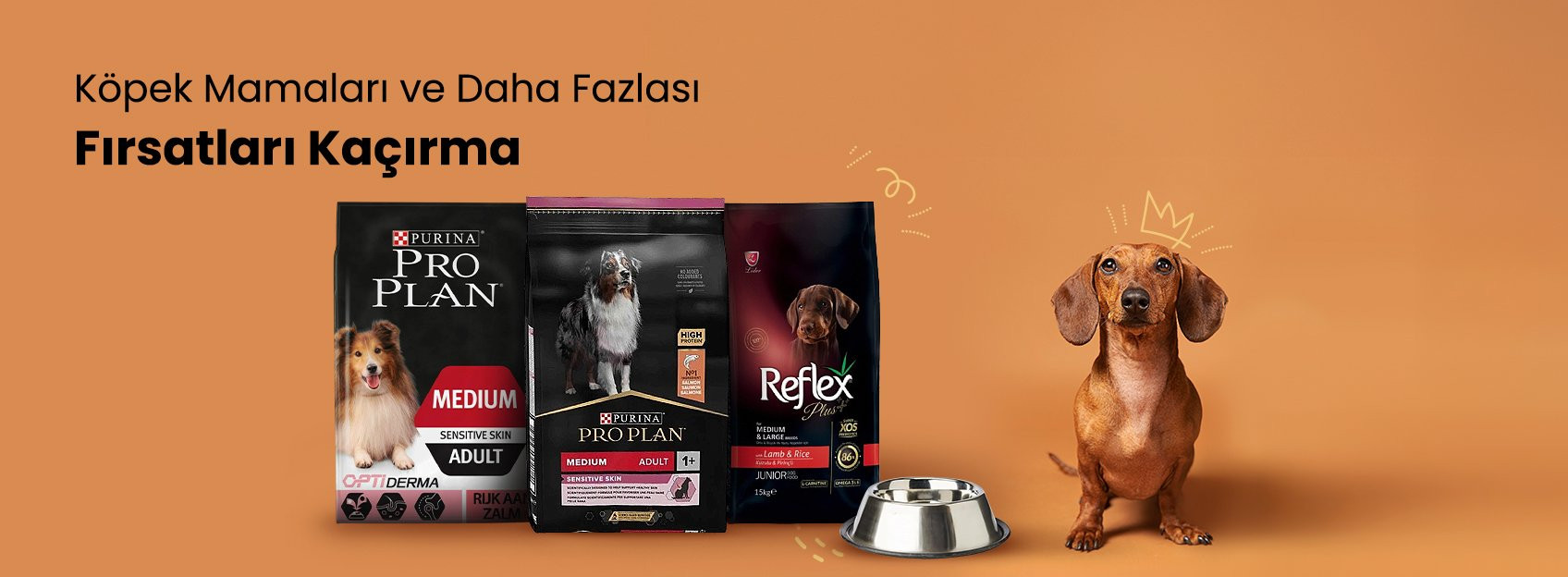 Köpek Ürünlerine Özel Kaçırılmayacak Fırsatlar