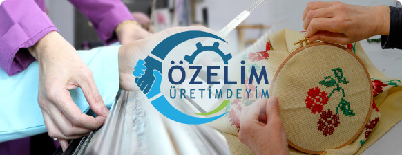 Özel Eğitim Meslek Okulları