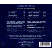 DAVID ARKENSTONE - ANOTHER STAR IN THE SKY - 2