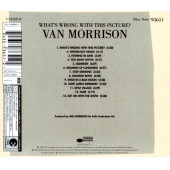 VAN MORRISON - WHATS WRONG WITH THIS PICTURE (CD) (2003) - 2