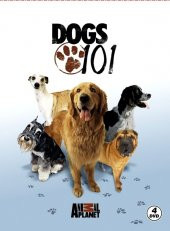 DOGS 101 - ANIMAL PLANET (4 DVD) - 1