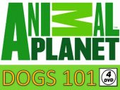 DOGS 101 - ANIMAL PLANET (4 DVD) - 2