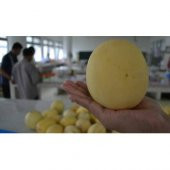 Apple Melon Elma Kavunu Tohumu Ekim Seti 5 Tohum + Saksı + Toprak - 2