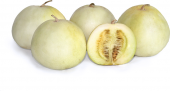 Apple Melon Elma Kavunu Tohumu Ekim Seti 5 Tohum + Saksı + Toprak - 3
