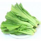 Nadir İthal Çin Hardalı Tohumu 20 Tohum Hardal Tohumu + Süpriz thumbnail 1