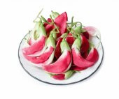 Nadir Kanada Agasta Ağacı Tohumu 3 Tohum + Süpriz Hediye Tohum thumbnail 1