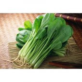 Nadir İthal Çin Hardalı Tohumu 20 Tohum Hardal Tohumu + Süpriz thumbnail 3