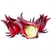 Nadir İthal Roselle Kerkede Tohumu 3 Tohum + Süpriz Hediye Tohum thumbnail 2