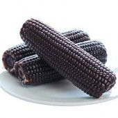 Nadir İthal Mor Mısır Tohumu Bolivya Mısırı Tohumu 3 Tohum - 1