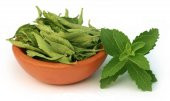Stevia Tohumu Şeker Otu Tohumu 10 Tohum + Süpriz Hediye Tohum - 2