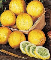 Nadir İthal Limon Salatalık Tohumu 5 Tohum + Süpriz Hediye Tohum - 2