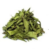 Stevia Tohumu Şeker Otu Tohumu 10 Tohum + Süpriz Hediye Tohum - 4