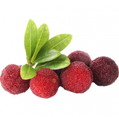 Tropikal Myrica Çin Çileği Tohumu Ekim Seti 2 Tohum +Saksı+Toprak - 1