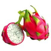 Saksılık Pitaya Tohumu Ekim Seti 5 Tohum + Saksı + Toprak +Hediye - 5