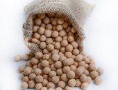Çıtır Leblebi 500 gr. - 1