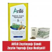 5 lt Avilo Soğuk Sıkım Natürel Sızma Zeytinyağı - 1