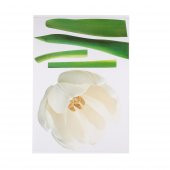 XFG002 DUVAR SÜSÜ ÇİÇEKLİ ŞEFFAF FİLMLİ PVC 70X50X0''5CM - 1