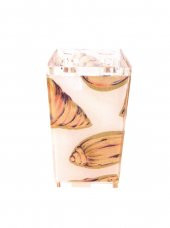 70317D3 DİŞ FIRÇALIK İSTİRİDYE AKRİLİK  6X6X12CM thumbnail 4