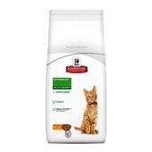 Hills Kitten Yavru Kedi Maması 5 Kg - 1