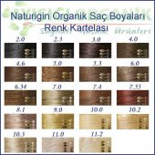 Naturigin Organik Saç Boyası Açık Kül Sarısı 8.1 - 3