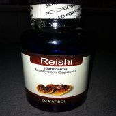 Reishi(Ganoderma) - 1