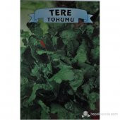 Tere - 1