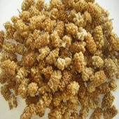 kuru dut - 1