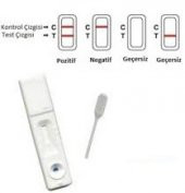 Gebelik Testi - 1